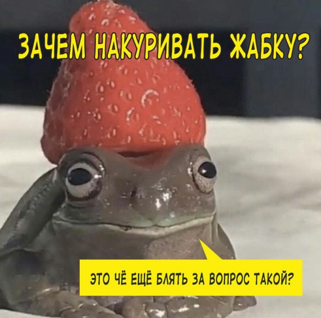 Картинки аморальные и всякие разные - 31