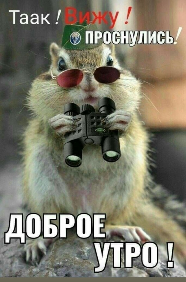 Увы, девки, природа, мы не при делах