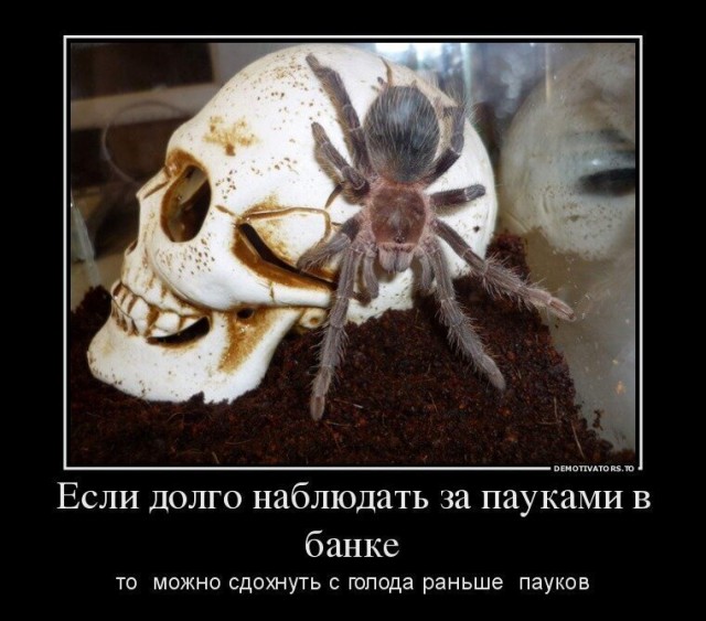 Хорошая схема