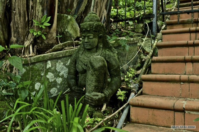 Гонконг или последнее Китайское предупреждение!