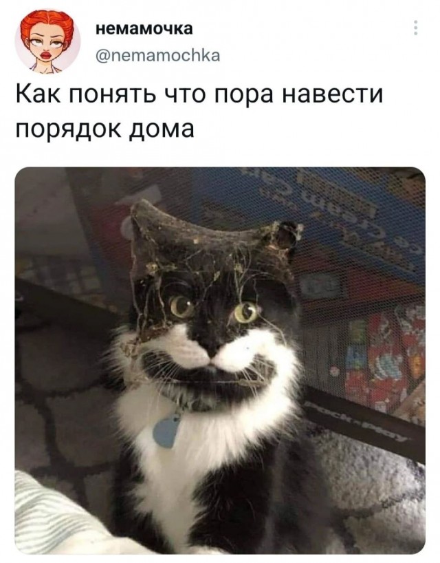 Немного картинок для настроения - 127