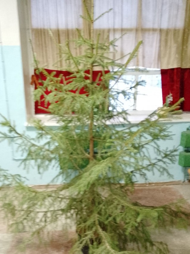 Выкладывайте свои елки!