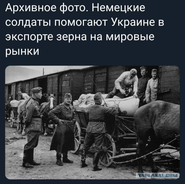 Победная поступь идиотизма по планете – том 10