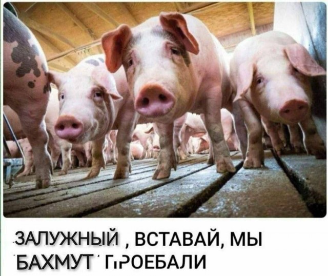 Нравится мне заставка, с которой британские телеканалы сегодня свои утренние новости начинают.