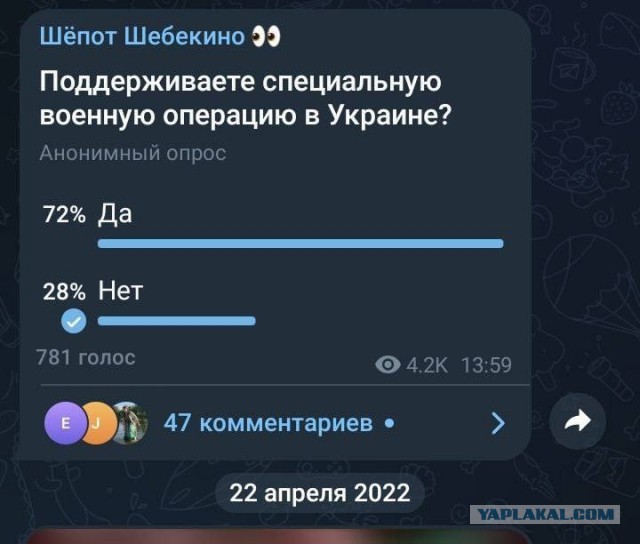 Белгородцы просят губернатора объявить режим ЧС в Шебекино, чтобы его жителям помогли с арендой. Он игнорирует эти просьбы