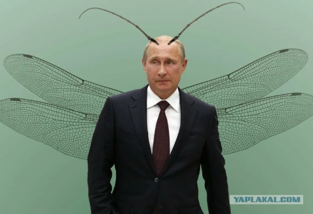 ❗️В 9 часов утра (МСК) ожидается обращение В. Путина
