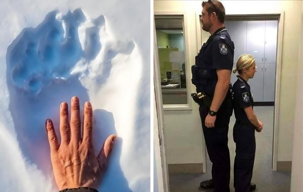 16 интересных, но неочевидных сравнений, бросающих вызов восприятию окружающего мира