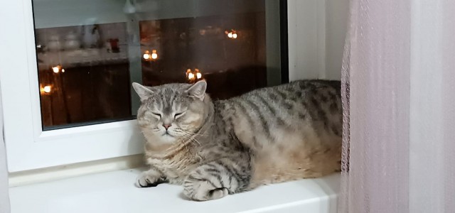 Дёмка вас желает видеть