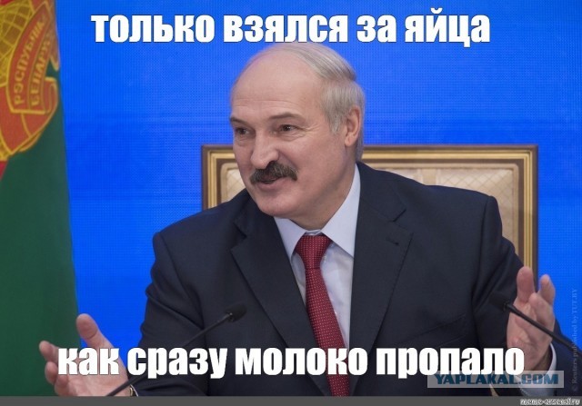 Цены на куриные яйца проанализирует ФАС