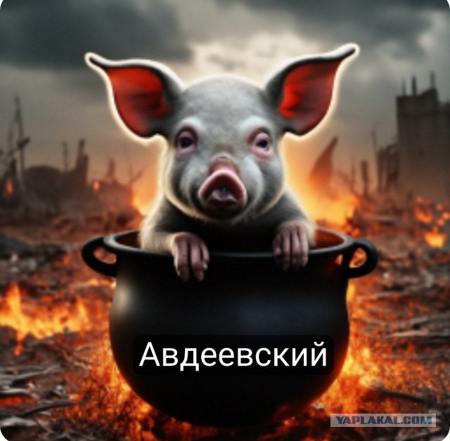 Перед боем !