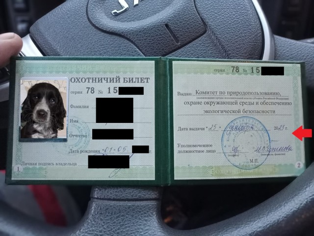 Песель