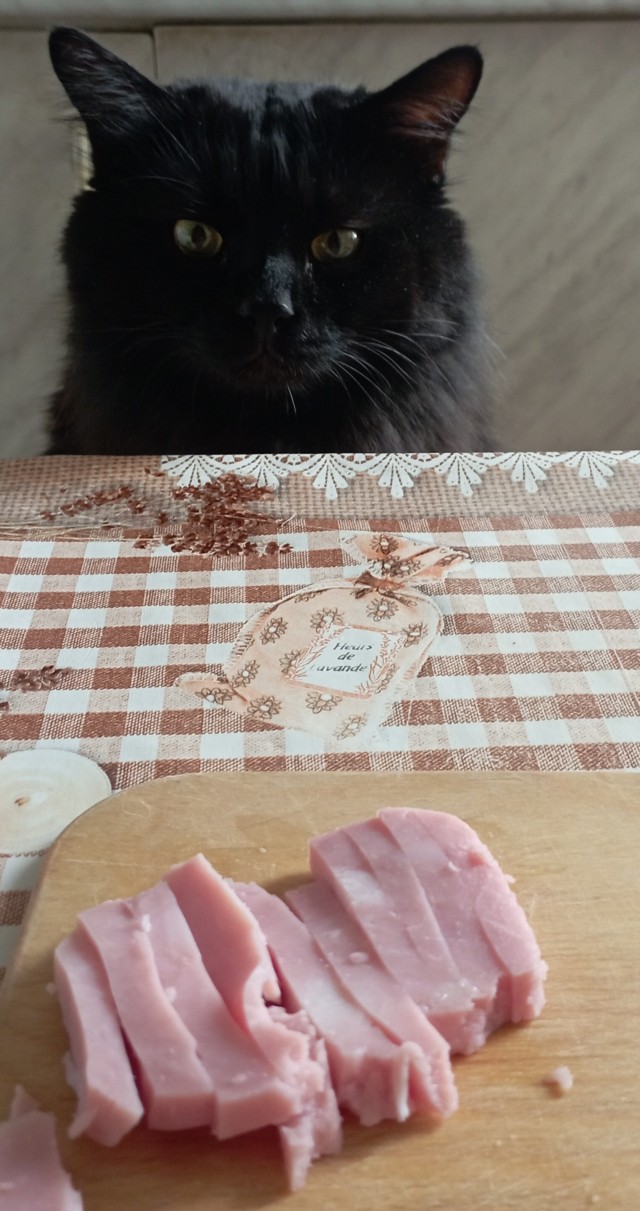 Новый хозяин