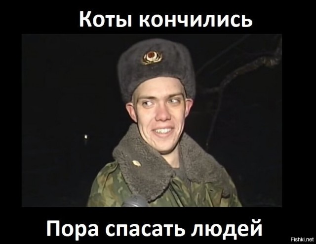 История про кошку в день кошек