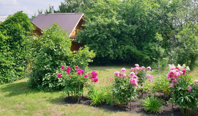 Дилемма