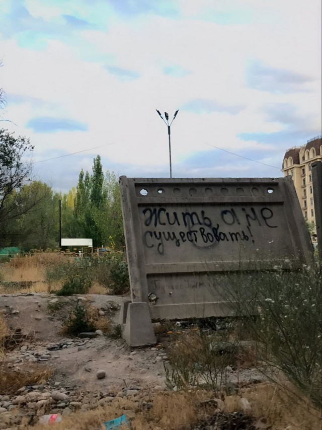 Прикольные и просто красивые картинки 10.05.2024