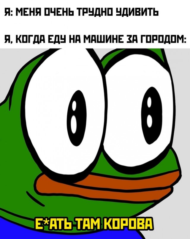 Весёлый полтишок 27.05.24