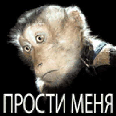Безработного почитателя «Ахмата» на «Мерседесе» догнала полиция. И нашла в машине четыре разных госномера