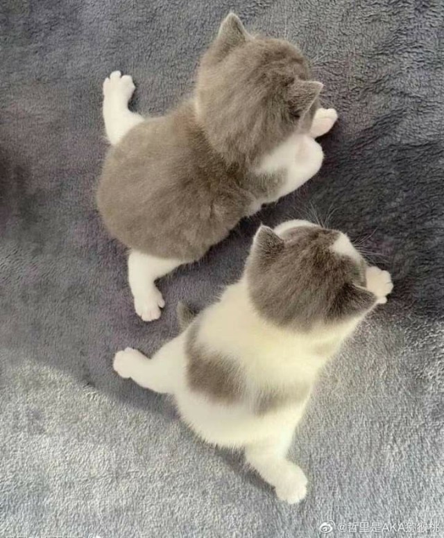 ФотоВинегрет