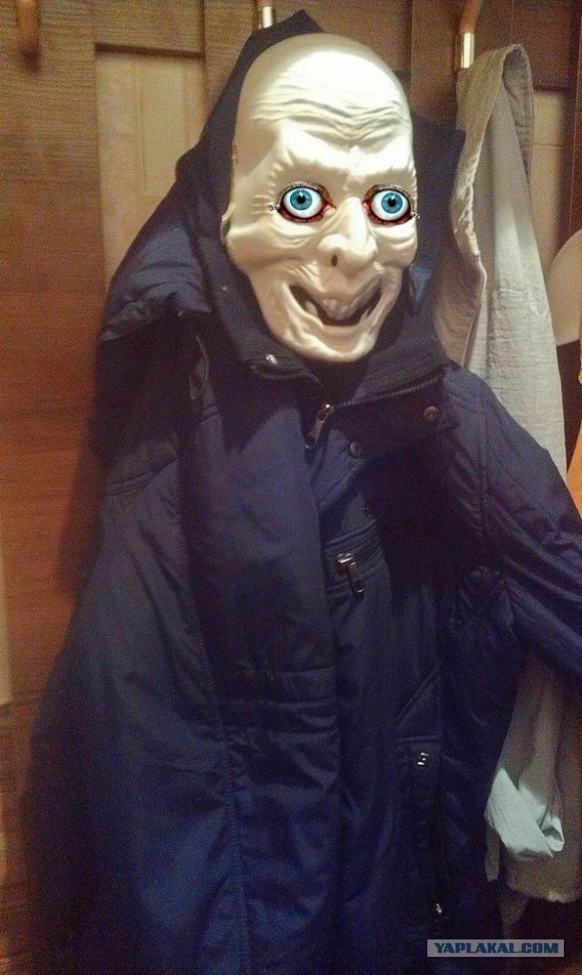 Приезжаю я на выходные домой...