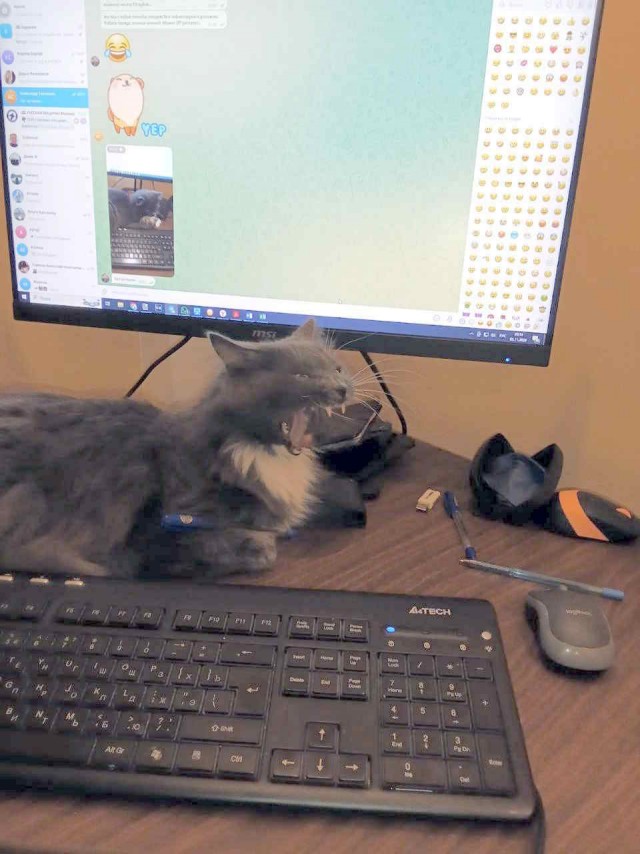 Третий круг