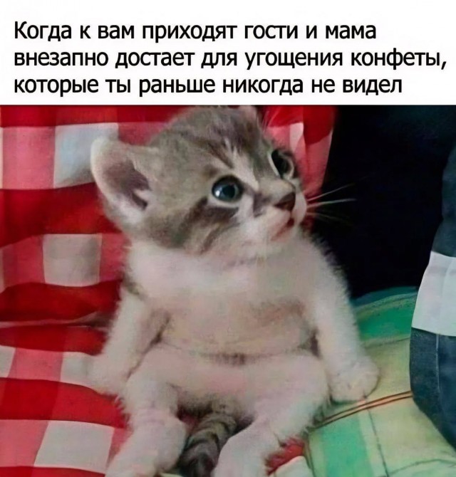 Завалялось тут случайно немного забавных картинок