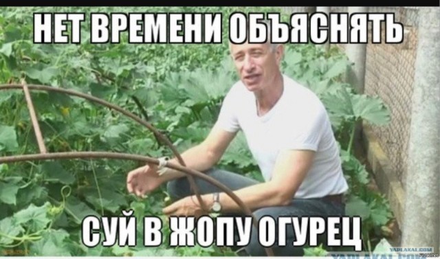 Енот или секретный способ лечения геморроя