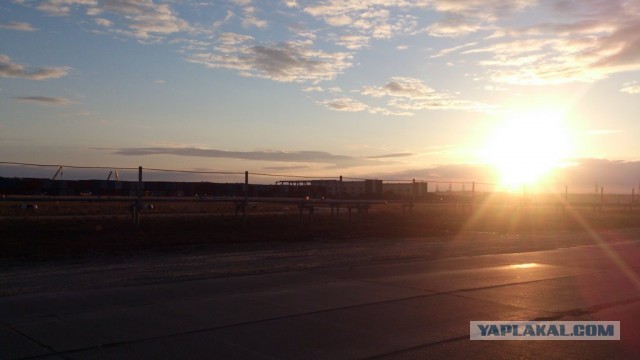 Красота! Лето на Ямале. Фото