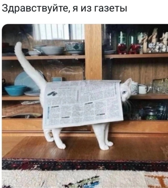 Прикольные и просто красивые картинки 18.07.2025