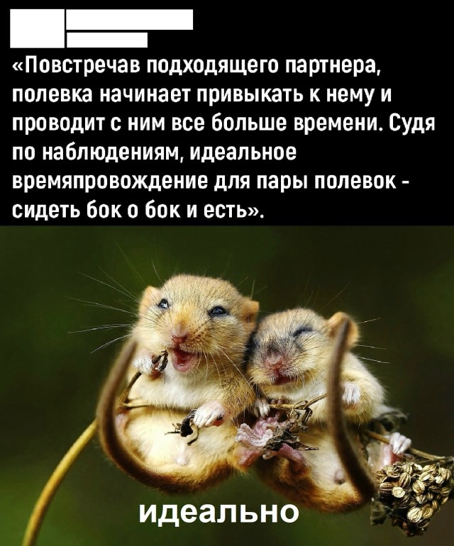 Так себе картинки 10.09.25