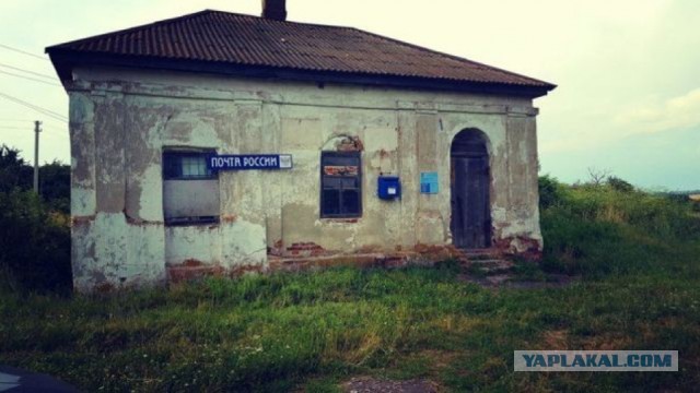 На "Госуслугах" появится QR-код для использования наравне с бумажным паспортом