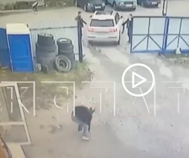 Сын известного политика, целенаправленно едва не задавил человека, а потом попытался замять дело