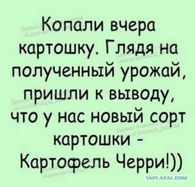 Так себе картинки 15.11.25