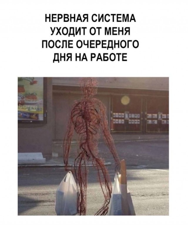 Картиночки, баянчики 29 января