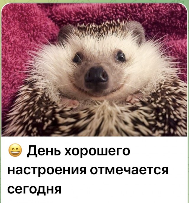 Среды картинки
