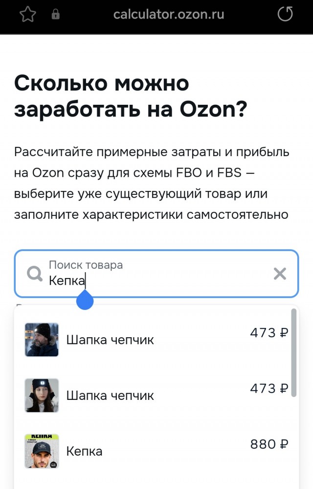 Торговля на OZON и WB в 2026 - от подводных камней до айсбергов