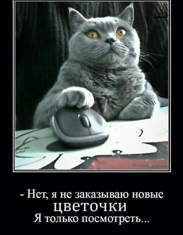 Аспарагусы