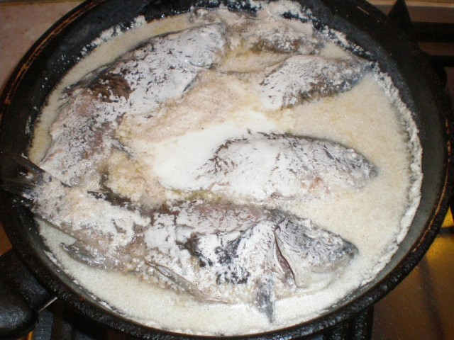 Жены стареют, первокурсницы никогда