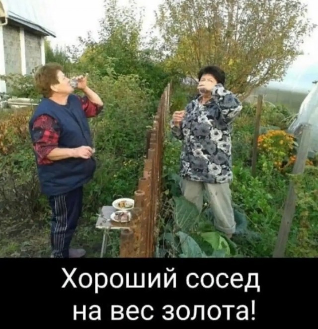 Так себе картинки 24.06.26