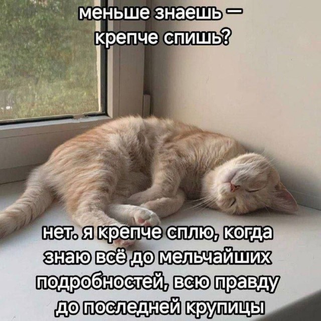 Веселые картинки в понедельник (13.07)