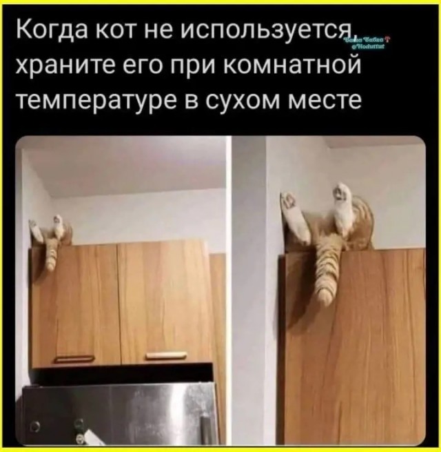 Картинки для деградации 292 (разной степени свежести)
