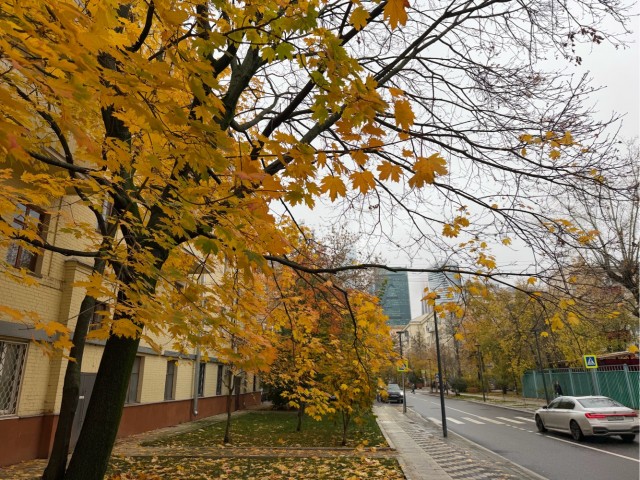 Красивой осени моменты