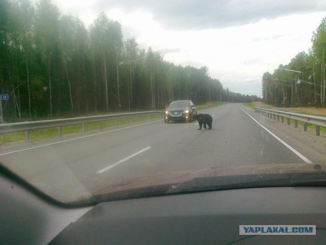 Деревенская Америка