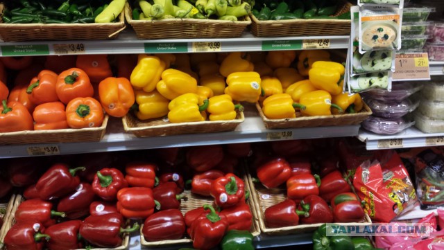 Сколько в США стоят продукты, одежда и др товары
