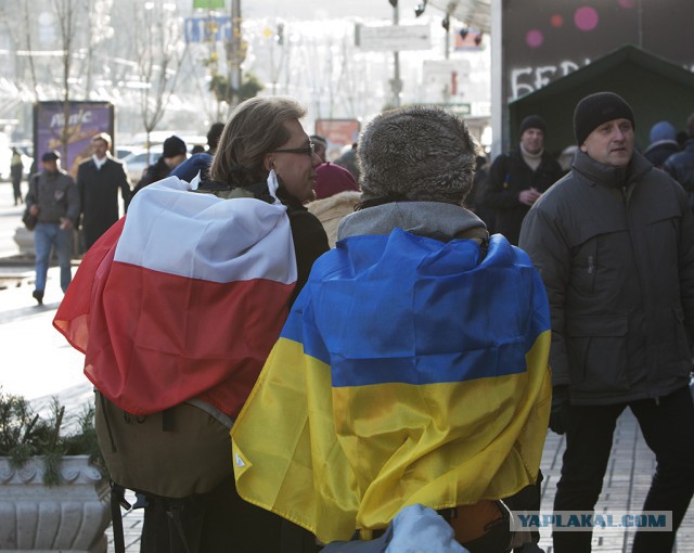 Представитель госдепа США приехала в Киев