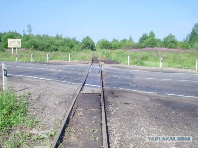 Дома Русского Севера