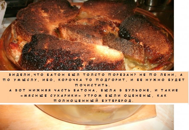 Морские гады-залиВные.