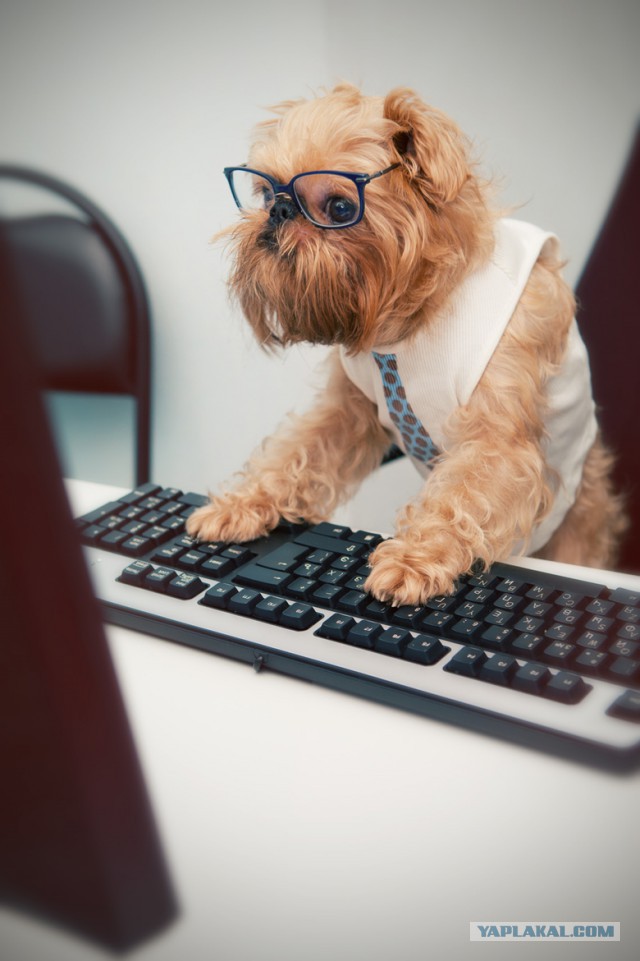 Муж пошутил