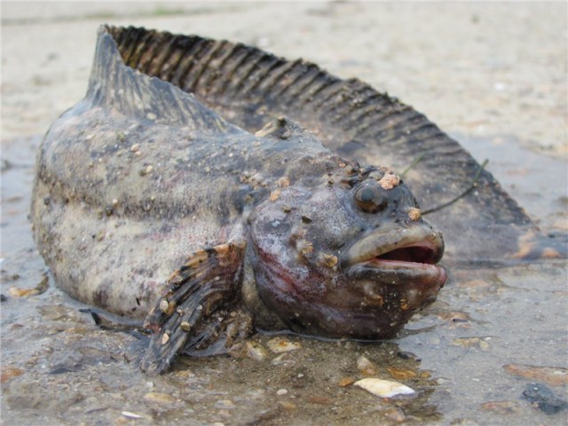 Ну, как выходные прошли?