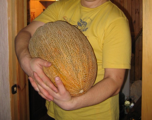 Слезы