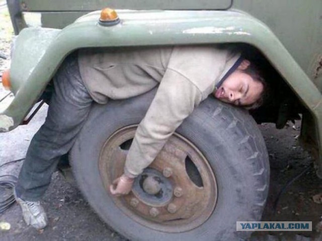 Заснувшие